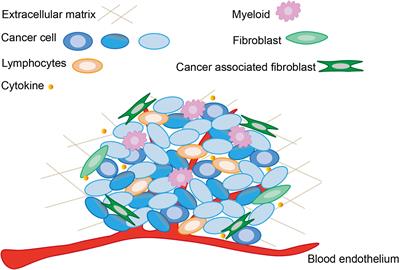 Remodeling tumor microenvironment with natural products to overcome drug resistance